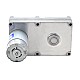 Motor de engranajes cepillado de 12V CC 100kg.cm/3,3RPM con caja de engranajes de dientes rectos rectangulares de 1269:1