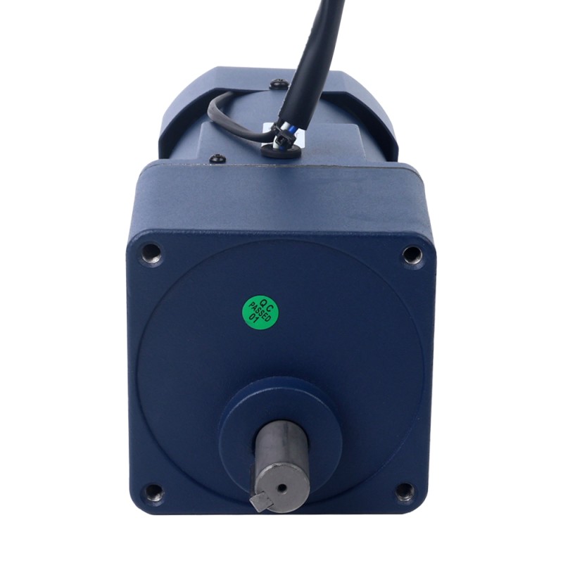 120W 220VAC 17,20Nm(2435,72oz.in) Motor de velocidad variable de CA monofásico con caja de cambios rectos