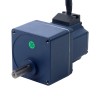 Motor BLDC de engranajes 48V 40W 100RPM 2,79Nm(395,10oz.in) Caja de engranajes rectos 30:1