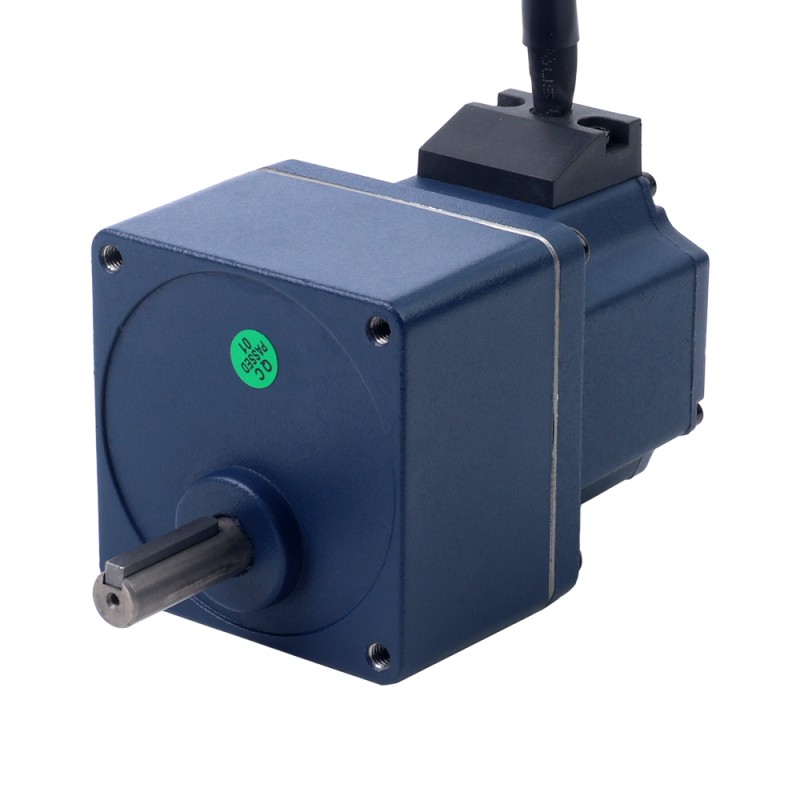 Motor BLDC de engranajes 48V 40W 100RPM 2,79Nm(395,10oz.in) Caja de engranajes rectos 30:1