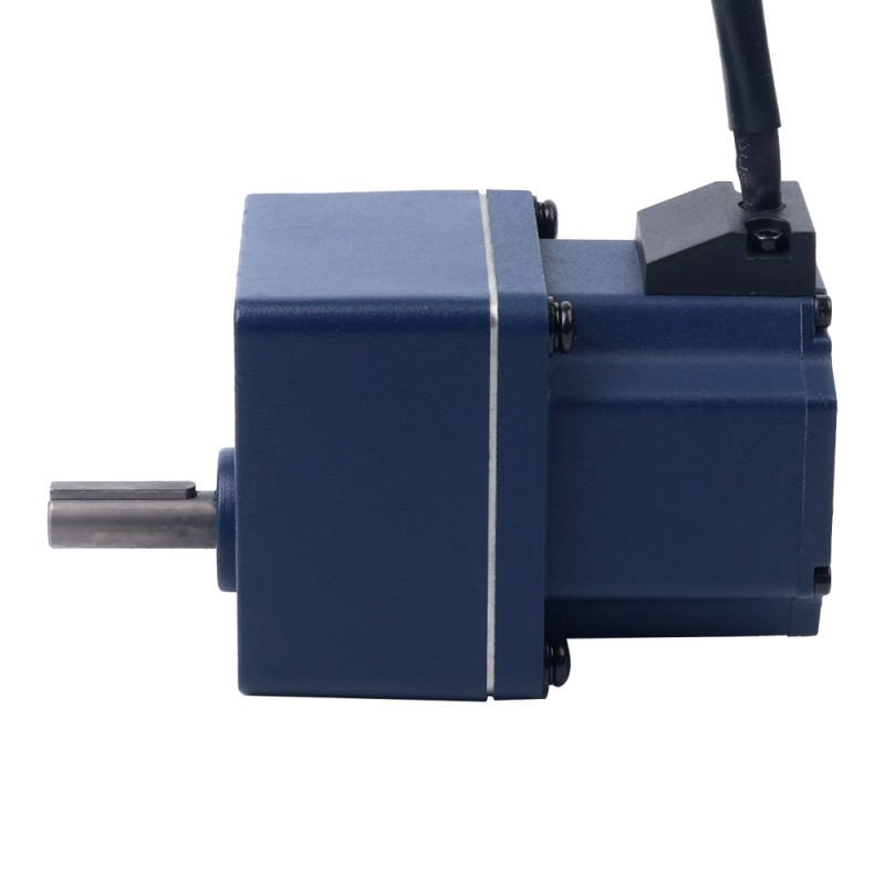 Motor BLDC de engranajes 48V 40W 100RPM 2,79Nm(395,10oz.in) Caja de engranajes rectos 30:1