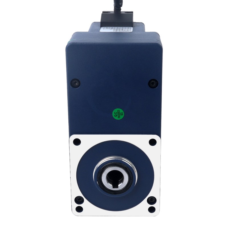 Motor BLDC de engranajes 24V 60W 100RPM 4,20Nm(594,77oz.in) 30:1 con caja de cambios de eje hueco paralelo