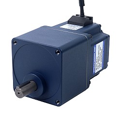 Motor BLDC de engranajes 24V 120W 100RPM 7,56Nm(1070,59oz.in) Caja de engranajes rectos 30:1