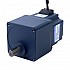 Motor BLDC de engranajes 24V 120W 100RPM 7,56Nm(1070,59oz.in) Caja de engranajes rectos 30:1