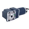 Cepillado 48V 150W 20.00Nm(2832,24oz.in) 36RPM con motor de engranaje de CC con caja de cambios de ángulo recto 50:1