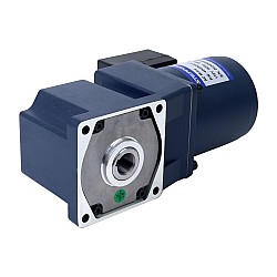 25W 220VAC 1,90Nm(269,06oz.in) Motor de inducción de CA monofásico de eje hueco de caja de cambios de ángulo recto