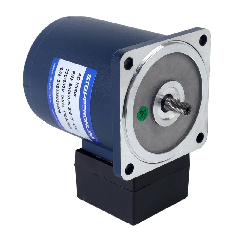 40W 220/380VAC 13,5/15,5RPM 10Nm(1416.12oz.in) Motor de inducción de CA trifásico con caja de cambios rectos