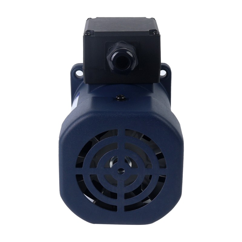 60W 220VAC 50Hz 13,5RPM 10,00Nm(1416,12oz.in) Brida 90mm Motor de inducción de CA monofásico con caja de cambios rectos
