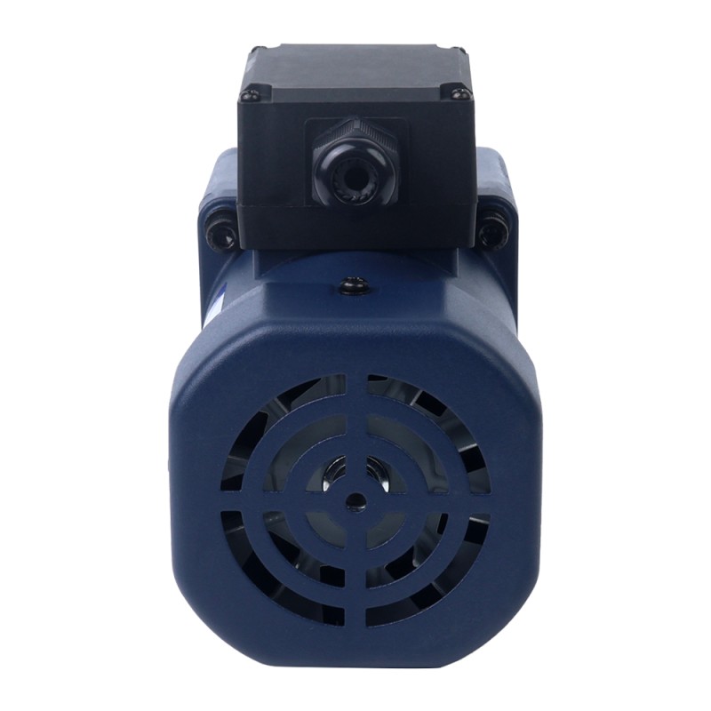60W 110VAC 60Hz 310RPM 1,43Nm(202,50oz.in) Brida 90mm Motor de inducción de CA monofásico con caja de cambios rectos