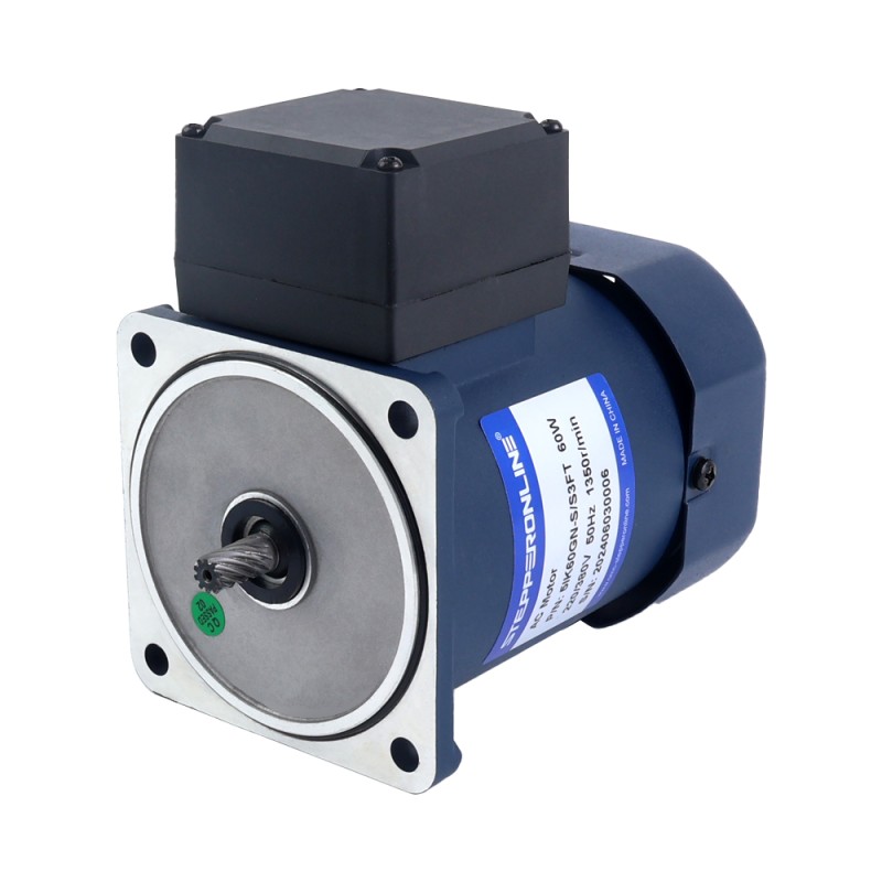 60W 220/380VAC 13,5/15,5RPM 10,00Nm(1416.12oz.in) Motor de inducción de CA trifásico con caja de cambios rectos