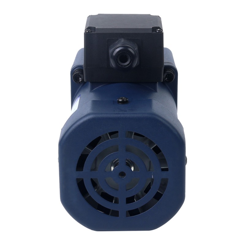 90W 110VAC 60Hz 155RPM 4,30Nm(608,93oz.in) Brida 90mm Motor de inducción de CA monofásico con caja de cambios rectos