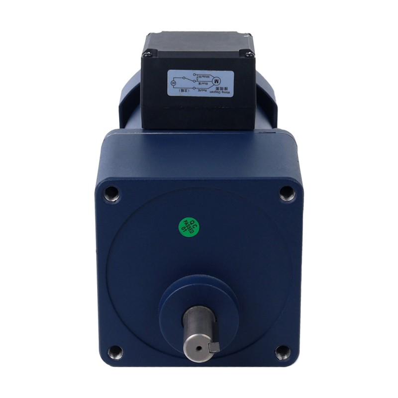 200W 220VAC 40,00Nm(5664,47oz.in) Motor de inducción de CA monofásico con caja de cambios rectos