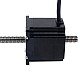 Nema 23 No cautivo Pila de 56mm Cable 2.0A 2mm(0,07874") Longitud 355mm - 23N22S2004AJ4-355RS | StepperOnline