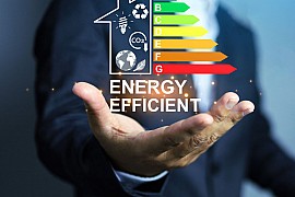 Sostenibilidad Ambiental
